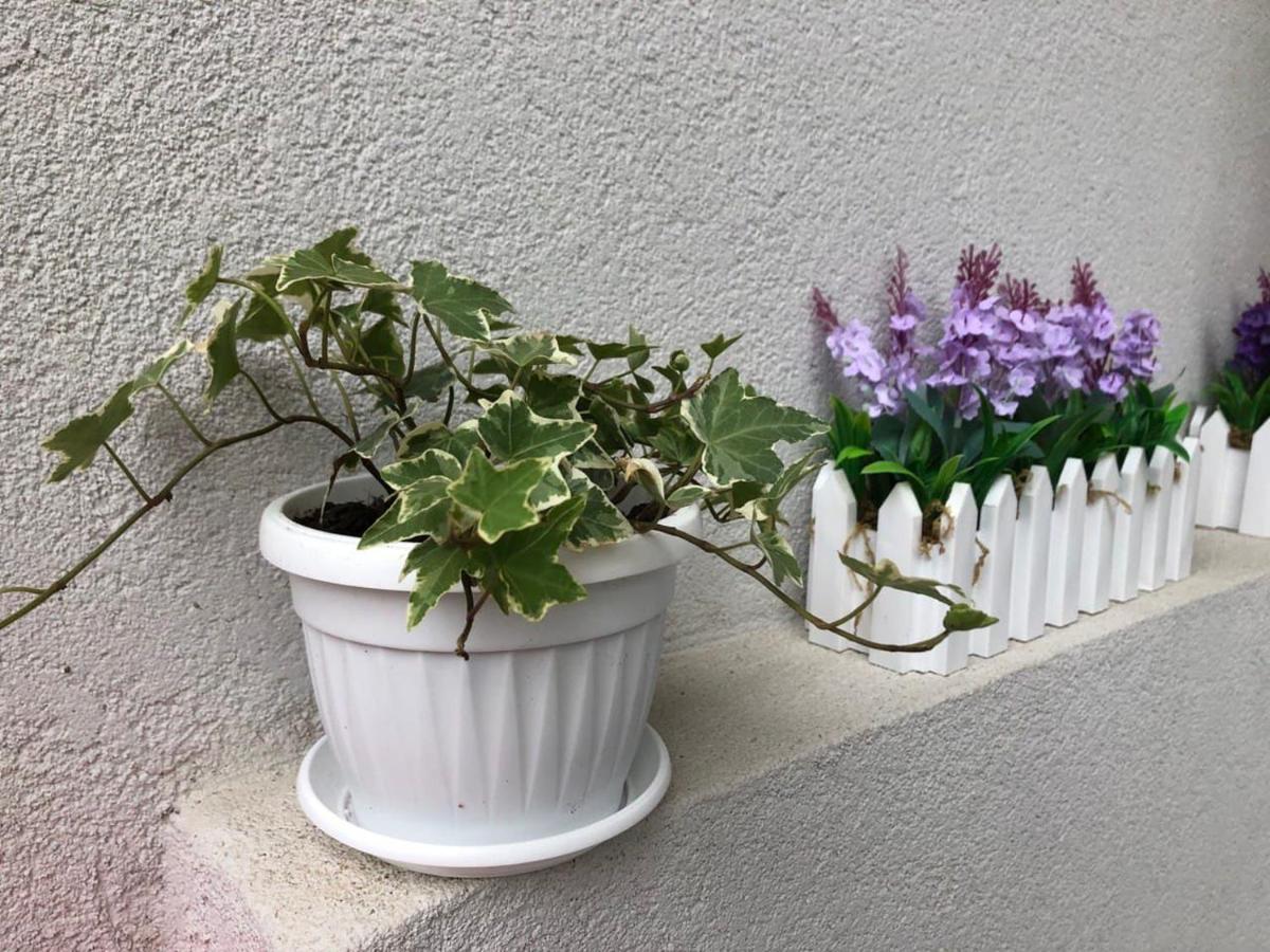 Apartment Dea Del Salento Lecce